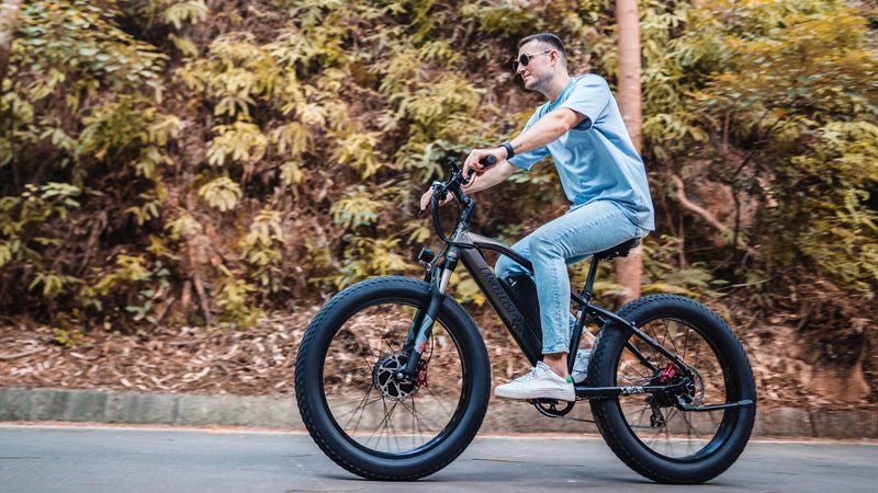 ランケレイシ電動自転車